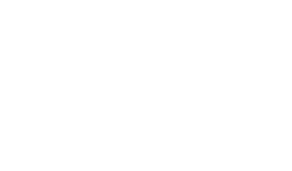 brdr-jensen